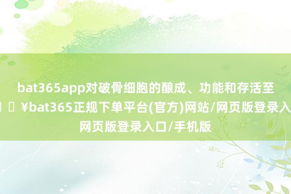 bat365app对破骨细胞的酿成、功能和存活至关热切-🔥bat365正规下单平台(官方)网站/网页版登录入口/手机版