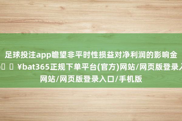 足球投注app瞻望非平时性损益对净利润的影响金额约为-2-🔥bat365正规下单平台(官方)网站/网页版登录入口/手机版