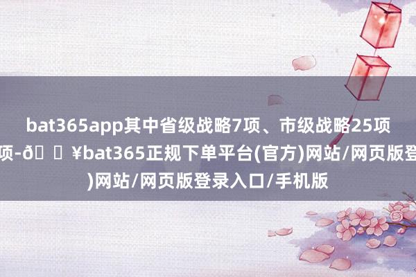 bat365app其中省级战略7项、市级战略25项、区县级战略9项-🔥bat365正规下单平台(官方)网站/网页版登录入口/手机版