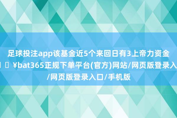 足球投注app该基金近5个来回日有3上帝力资金净流入-🔥bat365正规下单平台(官方)网站/网页版登录入口/手机版