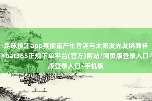 足球投注app其能量产生旨趣与太阳发光发烧同样-🔥bat365正规下单平台(官方)网站/网页版登录入口/手机版