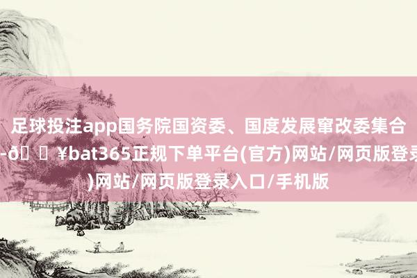 足球投注app国务院国资委、国度发展窜改委集合出台政策行径-🔥bat365正规下单平台(官方)网站/网页版登录入口/手机版