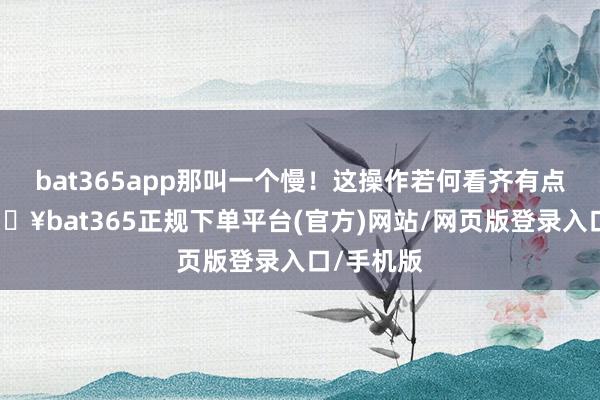 bat365app那叫一个慢！这操作若何看齐有点悬啊-🔥bat365正规下单平台(官方)网站/网页版登录入口/手机版