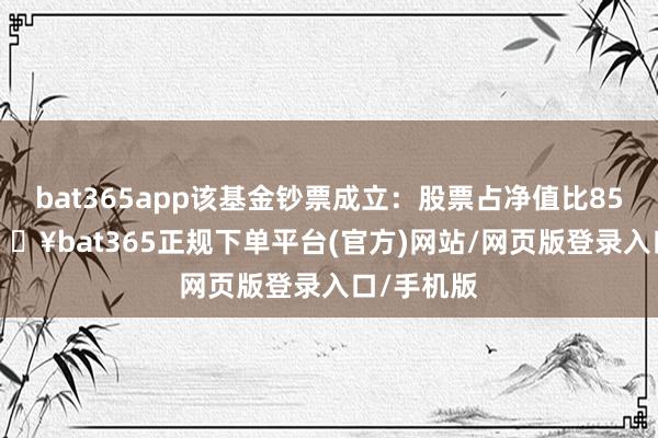 bat365app该基金钞票成立：股票占净值比85.04%-🔥bat365正规下单平台(官方)网站/网页版登录入口/手机版