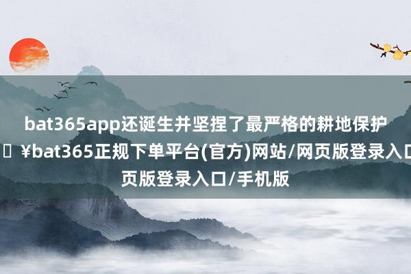 bat365app还诞生并坚捏了最严格的耕地保护轨制-🔥bat365正规下单平台(官方)网站/网页版登录入口/手机版