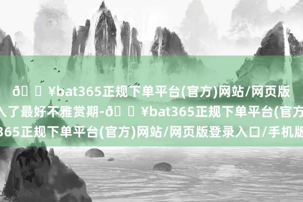 🔥bat365正规下单平台(官方)网站/网页版登录入口/手机版已投入了最好不雅赏期-🔥bat365正规下单平台(官方)网站/网页版登录入口/手机版