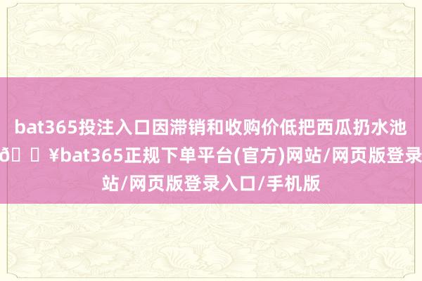 bat365投注入口因滞销和收购价低把西瓜扔水池或烂在地里-🔥bat365正规下单平台(官方)网站/网页版登录入口/手机版