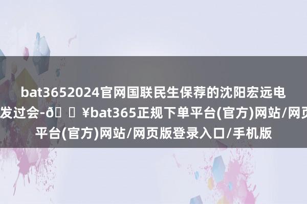bat3652024官网国联民生保荐的沈阳宏远电磁线股份有限公司首发过会-🔥bat365正规下单平台(官方)网站/网页版登录入口/手机版